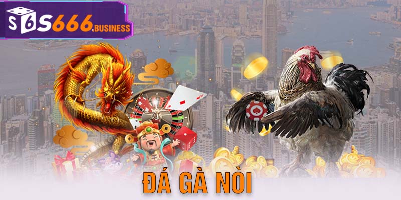 Đá gà Nòi là gì? Kinh nghiệm cược đấu gà hiệu quả